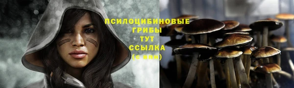 спайс Горняк