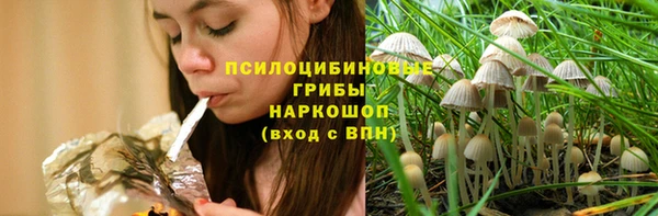 спайс Горняк