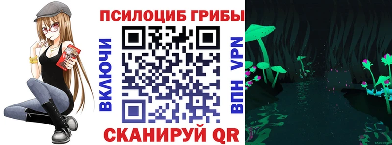 Псилоцибиновые грибы мицелий  Купить где  Клин 
